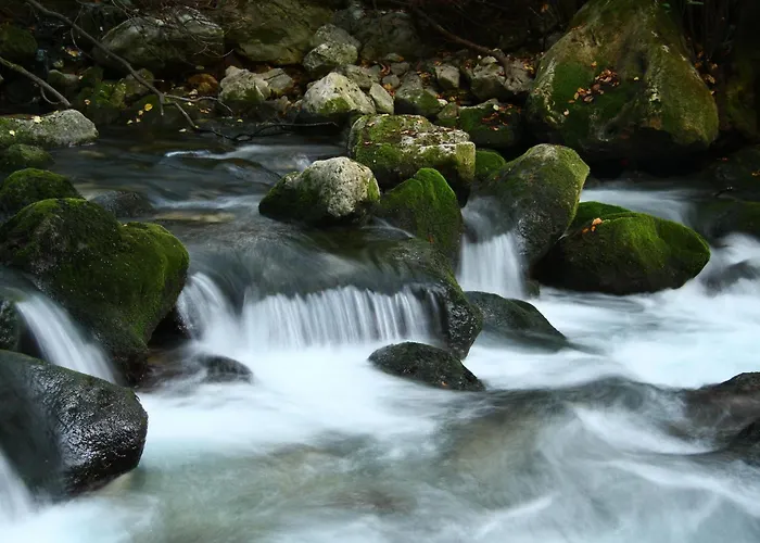 Konukevi Pansion Lovac