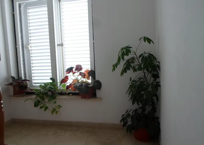 Konukevi Pansion Lovac Cavtat