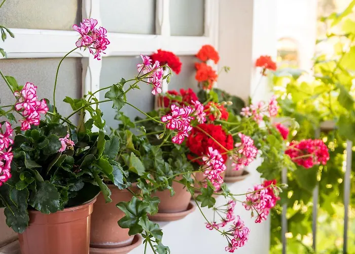 Pansion Lovac Konukevi Cavtat