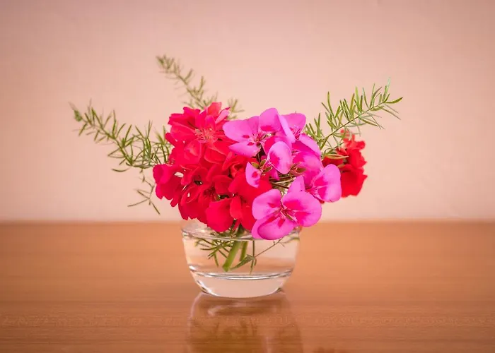 Pansion Lovac Konukevi