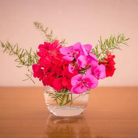 Pansion Lovac Casa de hóspedes