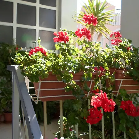 Pansion Lovac Casa de hóspedes 3*