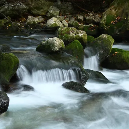 Gostinjska kuća Pansion Lovac