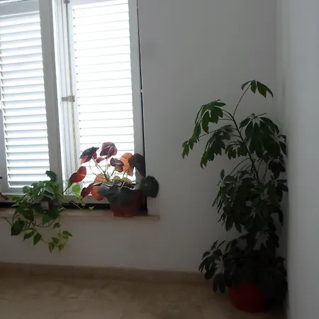 בית הארחה Pansion Lovac קאבטאט