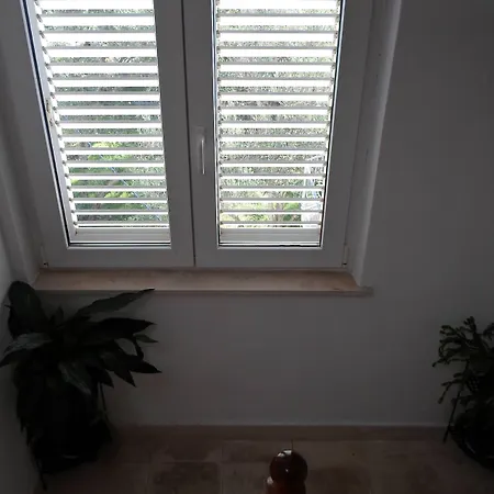 Pansion Lovac 3* קאבטאט